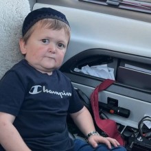 Куклачев осудил ударившего кошку Хасбика