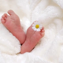 Аист-2023: звезды, которые станут родителями в этом году (или уже стали)