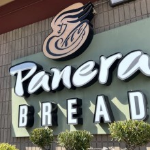 Смотрите фотографии сумки Panera BAGuette, которыми так одержим Интернет |