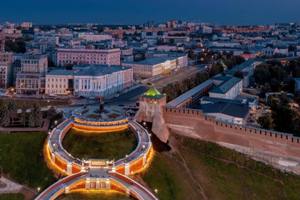 Стало известно решение суда в деле с подкинутым котенком в нижегородский приют «Бездомыш»